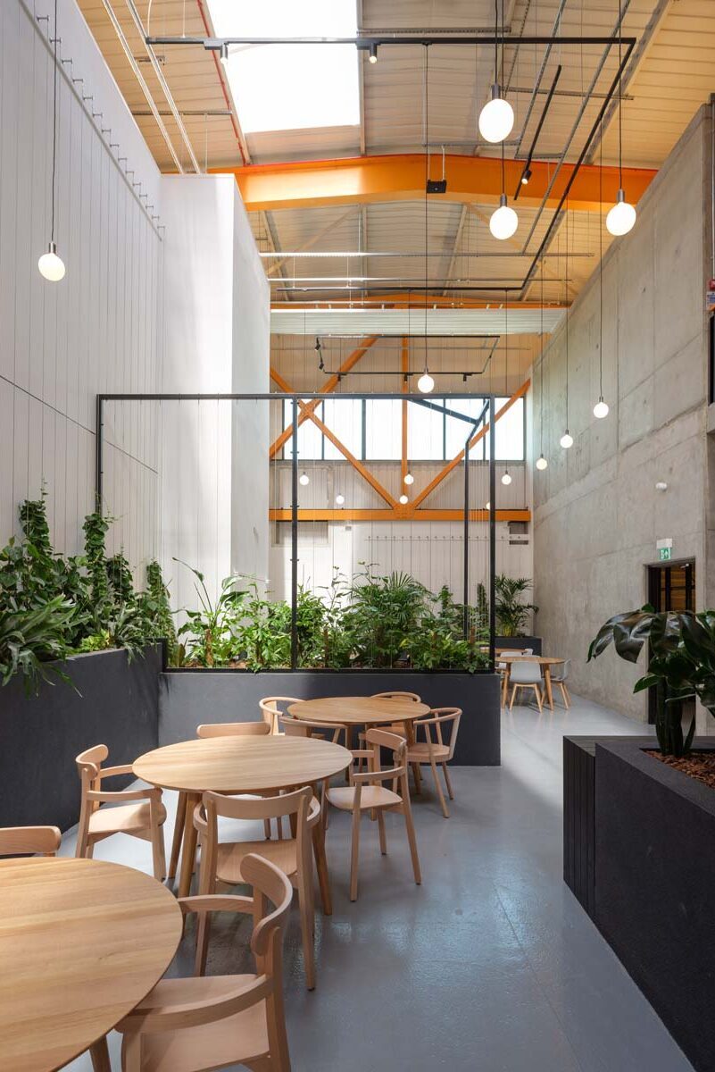 Owers Warwick Architects - Sycamore House winter garden