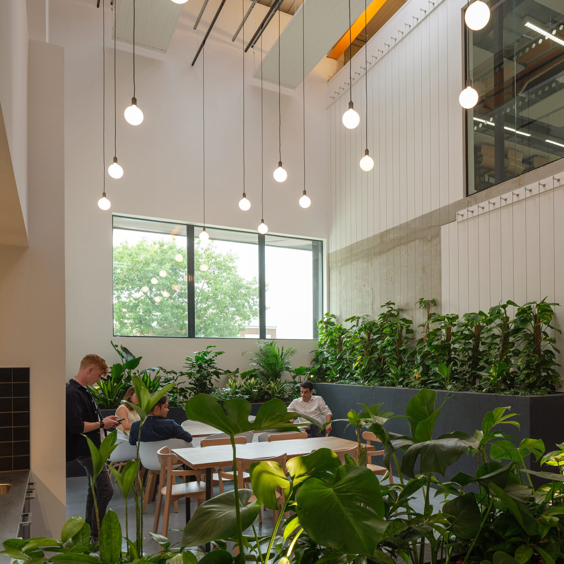 Owers Warwick Architects - Sycamore House winter garden