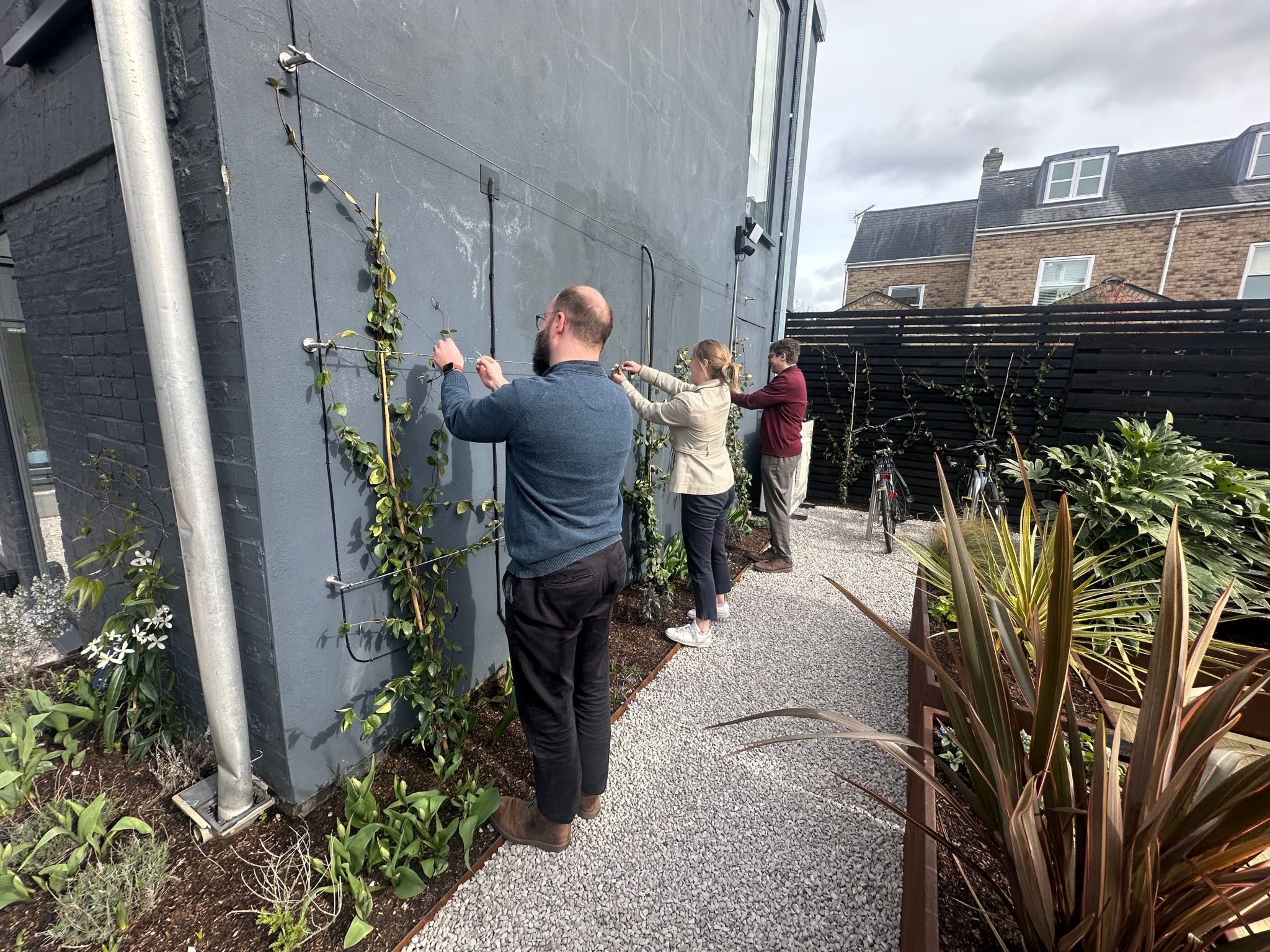 Owers Warwick Architects Office Garden