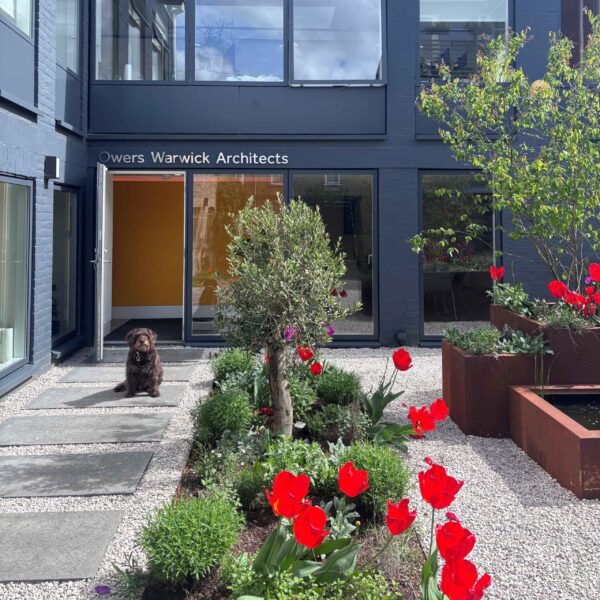 OWA Office Garden is Ready to Welcome You